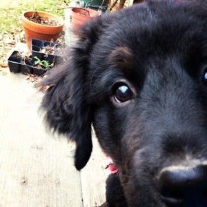 Meet your Posher, Katherine